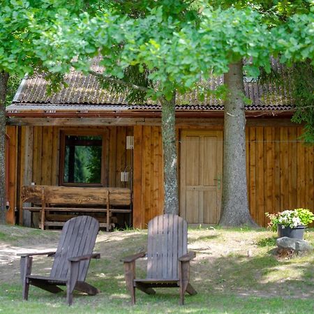 Cēsis Holiday House With Sauna מראה חיצוני תמונה
