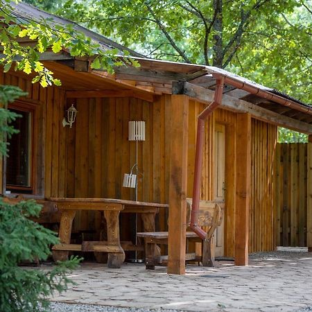Cēsis Holiday House With Sauna מראה חיצוני תמונה