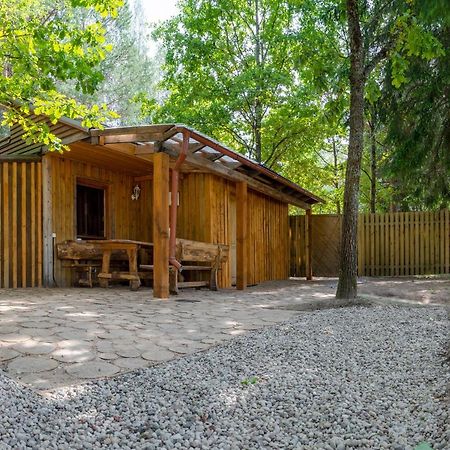 Cēsis Holiday House With Sauna מראה חיצוני תמונה
