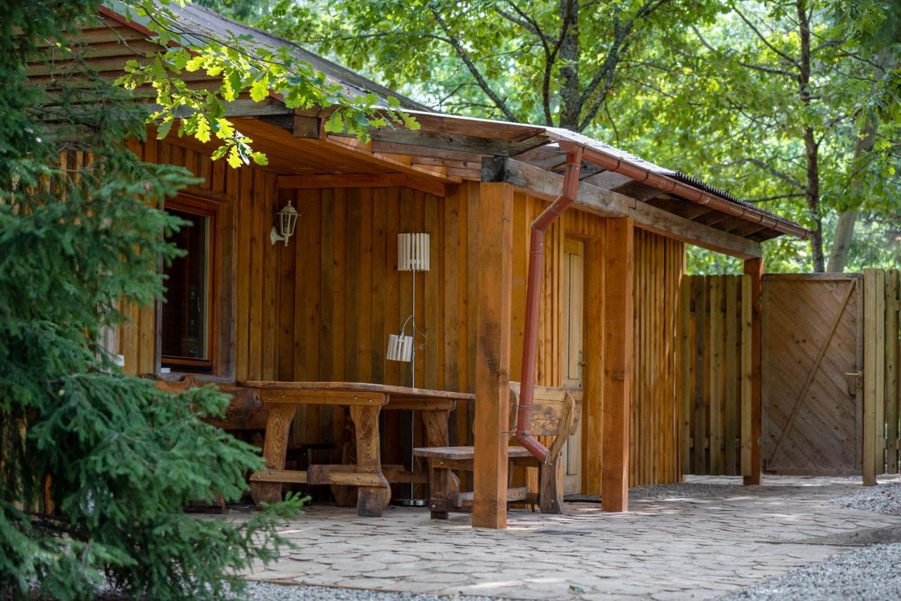 Cēsis Holiday House With Sauna מראה חיצוני תמונה